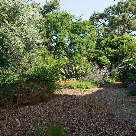 Le Lodge Du Cap Ferret Lège-Cap-Ferret 외부 사진