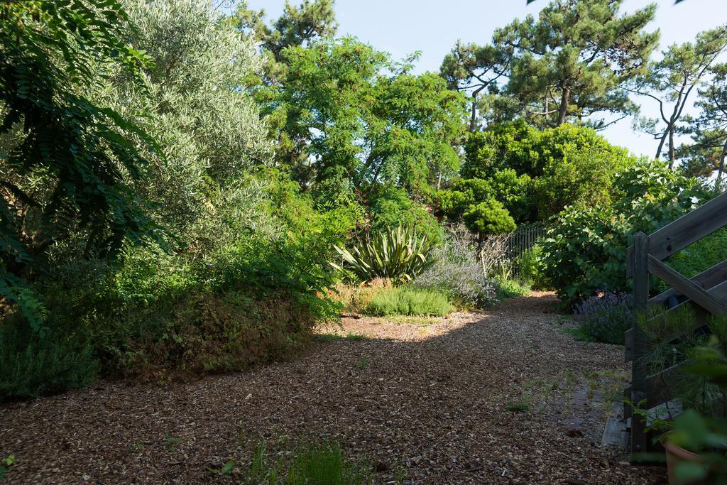 Le Lodge Du Cap Ferret Lège-Cap-Ferret 외부 사진