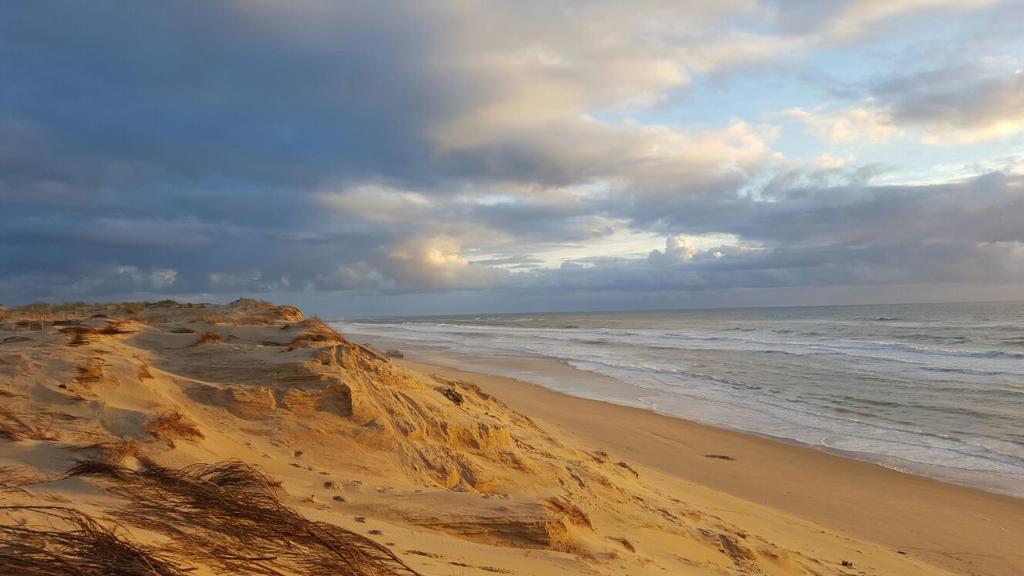 Le Lodge Du Cap Ferret Lège-Cap-Ferret 외부 사진