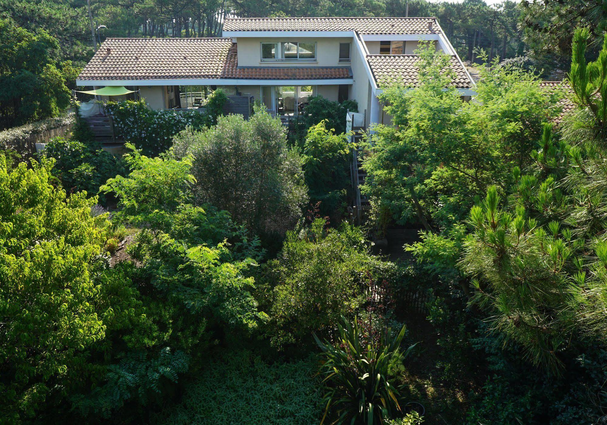 Le Lodge Du Cap Ferret Lège-Cap-Ferret 외부 사진